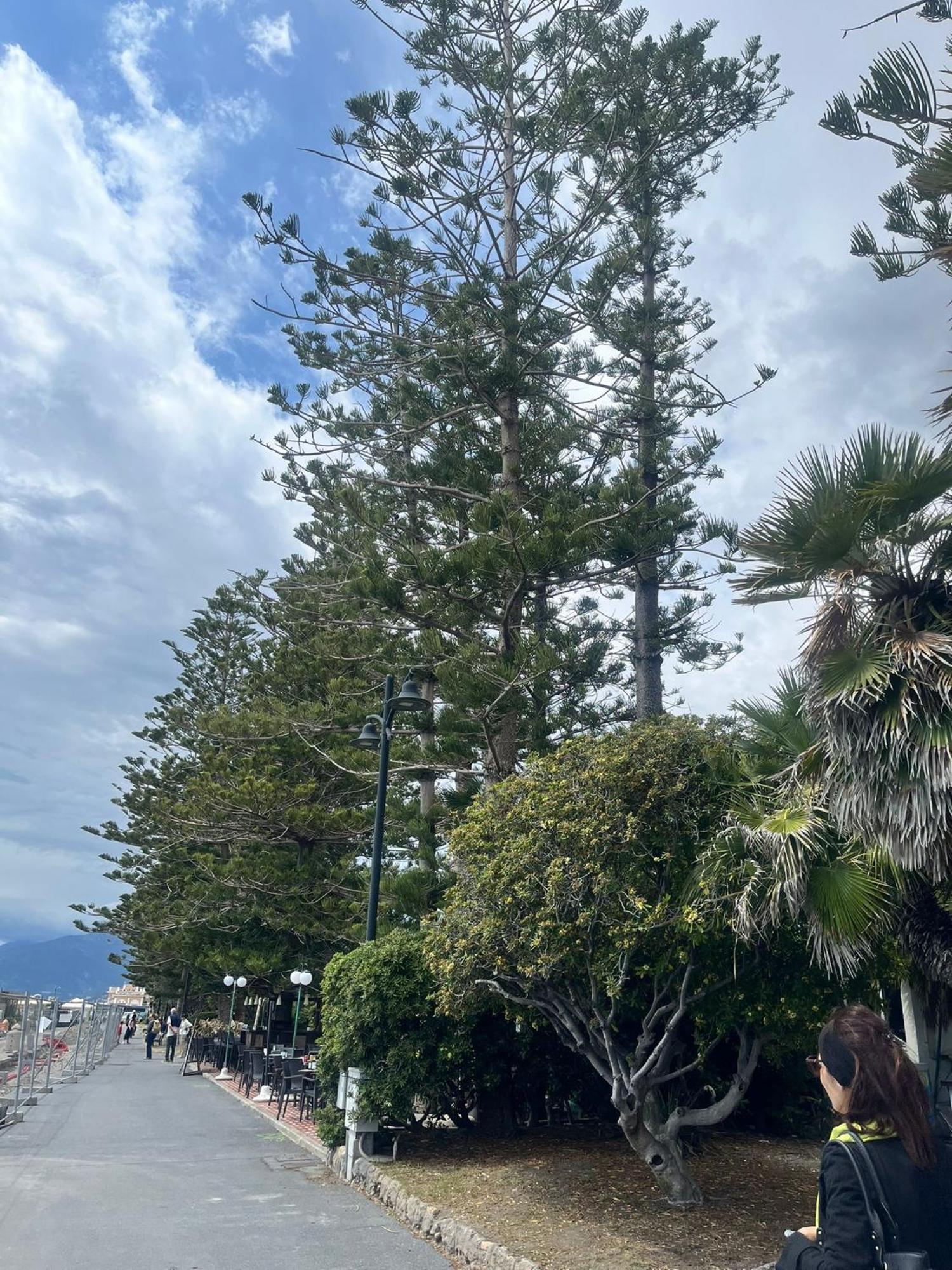 Casa Vacanza! A 50M Dal Mare! Bordighera Luaran gambar